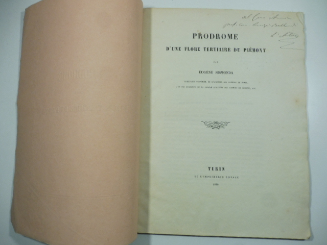 Prodrome d'une flore tertiaire du Piemont